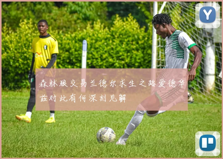 森林狼交易兰德尔求生之路爱德华兹对此有何深刻见解
